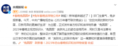 ​可爱的兔兔！2025年央视春晚标识和吉祥物官宣