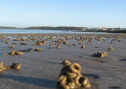 谢娜为刘烨打过胎吗 谢娜刘烨为什么分手