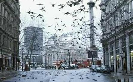 谢娜为刘烨打过胎吗 谢娜刘烨为什么分手