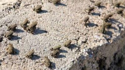 ​谢娜为刘烨打过胎吗 谢娜刘烨为什么分手