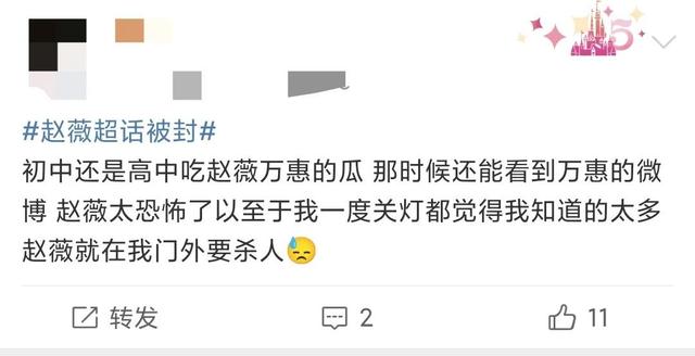 赵薇现在真实情况,赵薇疑似被封杀(3)