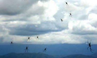 ​韩红真的和管彤结婚了吗?管彤已经结婚生子