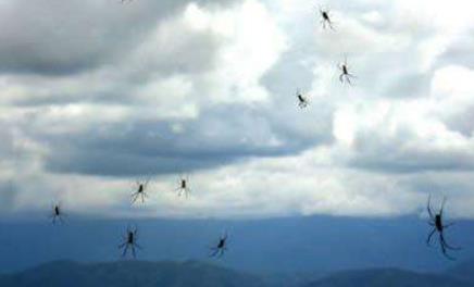 韩红真的和管彤结婚了吗?管彤已经结婚生子