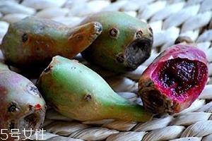 仙人掌果多少钱一斤 仙人掌果多少钱一斤