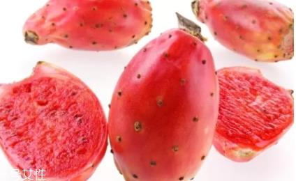 仙人掌果多少钱一斤 仙人掌果多少钱一斤