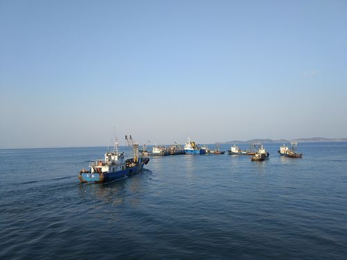 1、栖霞市的海上田园