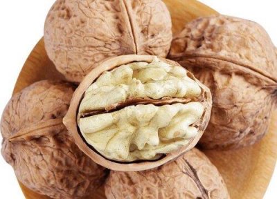 猫咪可以吃核桃吗(宠物猫不能吃什么东西)