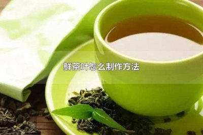 ​鲜茶叶怎么制作方法茶叶要泡多久