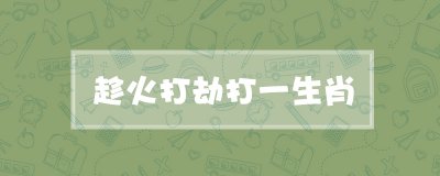 趁火打劫打一生肖