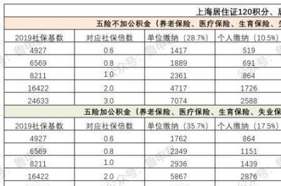 ​上海社保和城保有什么不同