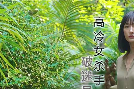 门徒2025深度解析