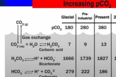 碳酸钙高温生成什么
