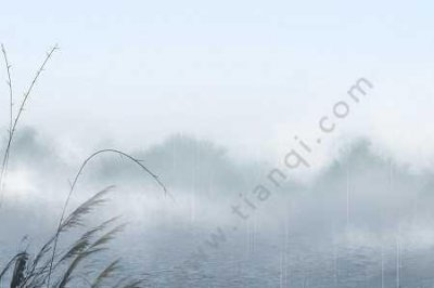 ​寒食寄京师诸弟表达的思想感情