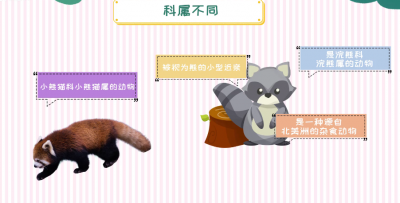 小熊猫和浣熊的区别