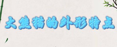 大熊猫的外形特点 颜色分布和体型 大熊猫的外形特点 头区干四只尾巴