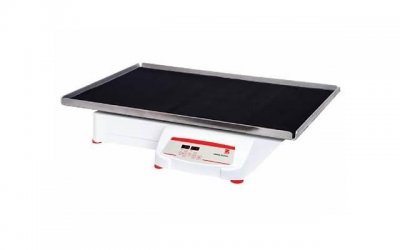 喜欢脚踏两只船的是怎样的男人(那些脚踏两只船的男人)