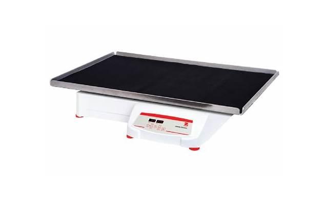 喜欢脚踏两只船的是怎样的男人(那些脚踏两只船的男人) 喜欢脚踏两只船的是怎样的男人(那些脚踏两只船的男人)