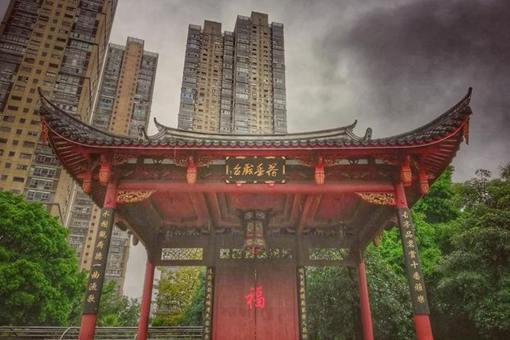 我国南方地区的凉茶有哪些特点?有什么讲究?