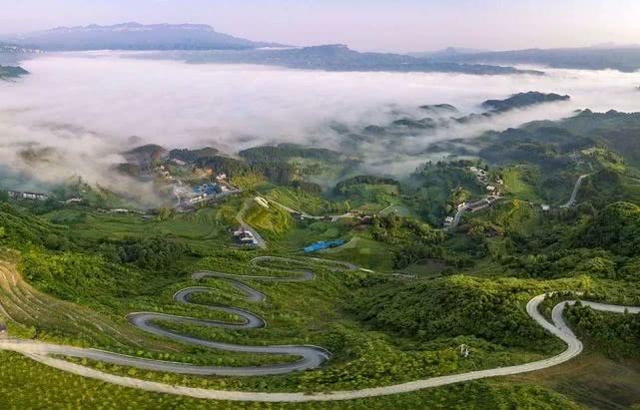 重庆金佛山自驾游（重庆康养自驾金佛山大环线）(38)