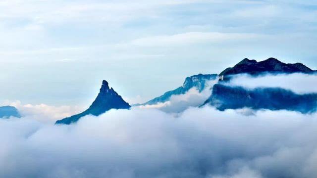 重庆金佛山自驾游（重庆康养自驾金佛山大环线）(32)