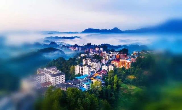 重庆金佛山自驾游（重庆康养自驾金佛山大环线）(36)