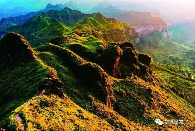 重庆金佛山自驾游（重庆康养自驾金佛山大环线）(17)