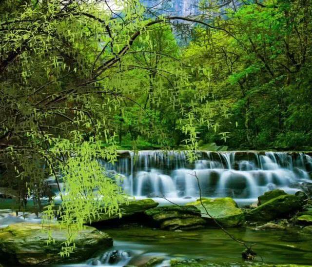 重庆金佛山自驾游（重庆康养自驾金佛山大环线）(6)