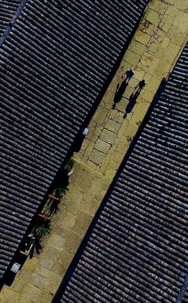 重庆金佛山自驾游（重庆康养自驾金佛山大环线）(19)