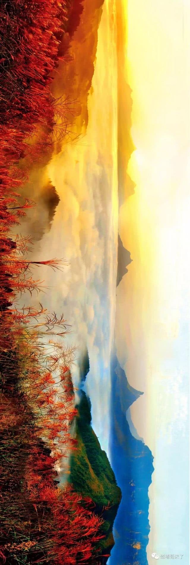 重庆金佛山自驾游（重庆康养自驾金佛山大环线）(33)