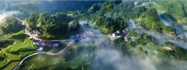 重庆金佛山自驾游（重庆康养自驾金佛山大环线）(50)