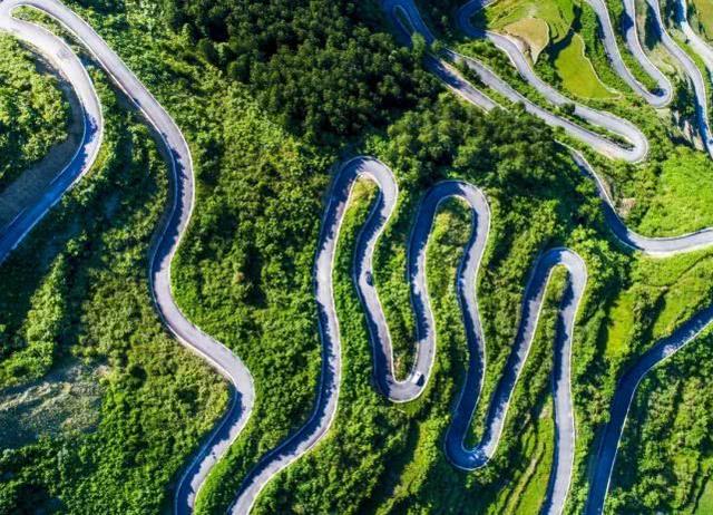 重庆金佛山自驾游（重庆康养自驾金佛山大环线）(37)