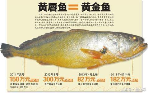 国家保护海洋生物有哪些（国家重点保护海洋生物名录大全）(14)