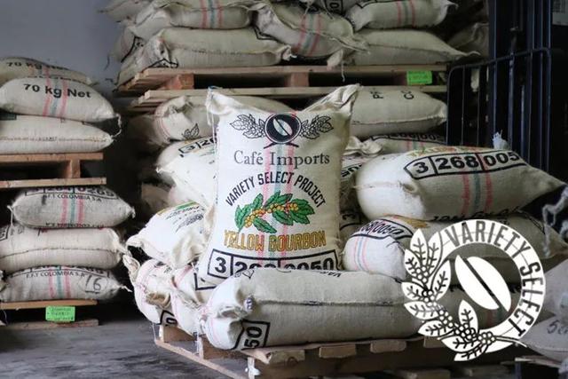 四大世界知名咖啡产区 第三大咖啡出口国之哥伦比亚(18)