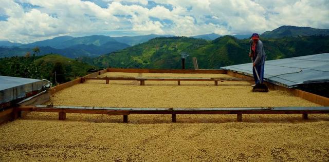 四大世界知名咖啡产区 第三大咖啡出口国之哥伦比亚(12)