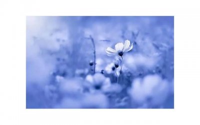 一个女人重生的秘诀(一个女人重生的方法是什么)