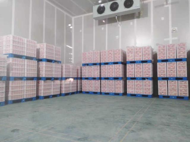 1000平冷库建造成本（建造500平米冷库成本大概是多少）(3)