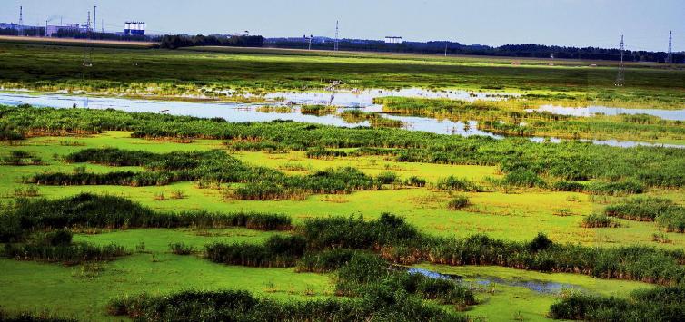 大庆周边自驾游哪里好玩(大庆附近有什么好玩的地方自驾游)