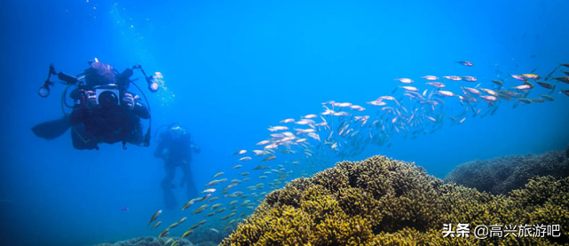 世界上最大的海(世界上最大的海是什么海)