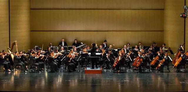 厦门爱乐乐团厦门大学演出（厦门爱乐乐团儿童节交响乐）(13)