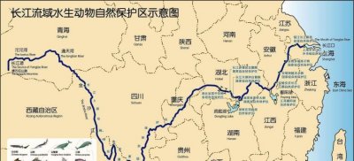 ​长江最终汇入的是什么海,我国第一大江长江全长6300千米最后注入了哪个海