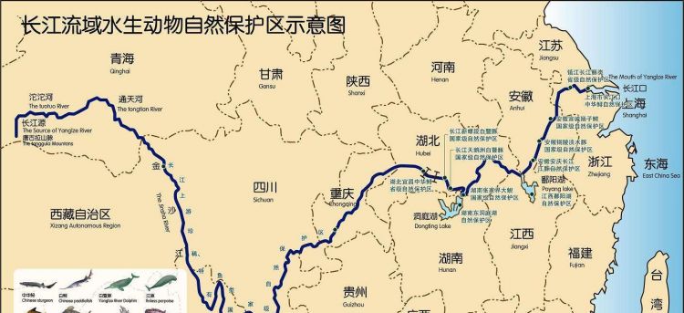 我国第一大江长江全长6300千米最后注入了哪个海