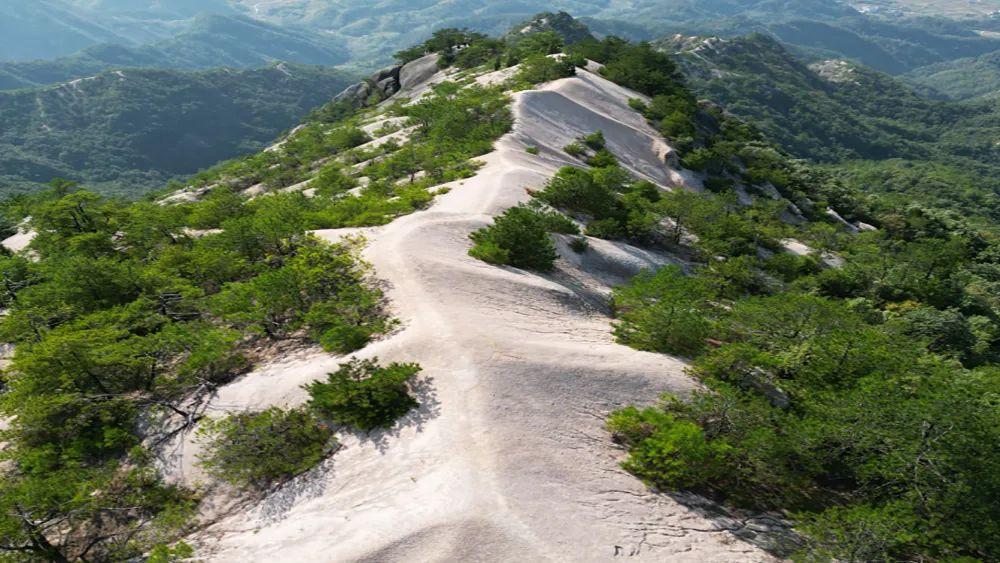 海南区属于哪个市(内蒙古海南区属于什么市)