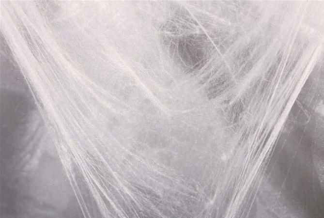 桑丝和桑蚕丝有区别吗