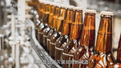 扎啤和啤酒的区别是什么
