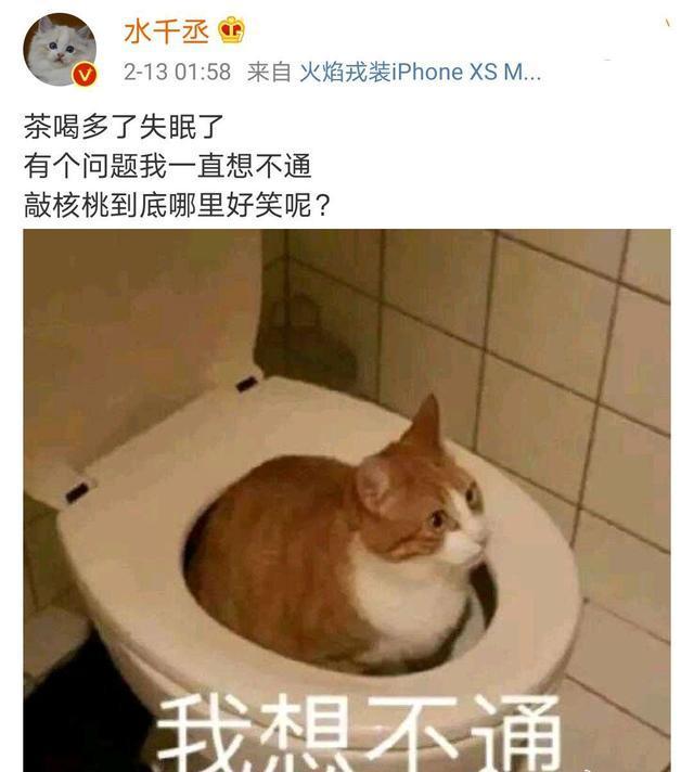 水千丞共有几部作品（水千丞的14部作品中）(5)