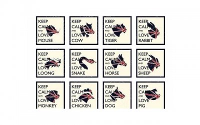 有些剩女,为什么依然有底气自信不肯妥协?