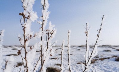 ​今冬数九时间表来了，哪天入九？三九四九在什么时候？过年冷吗？