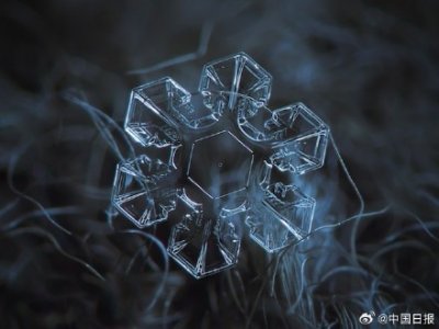 ​“大雪”来了 一起来看看雪花有多美！