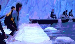 福利丨仅300套！珠海长隆企鹅酒店吃喝玩乐住套票惊爆价来袭，还有神秘现场活动等着你