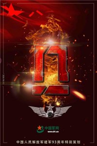 ​军旅胸标大集合！每一张都可以保存下来做壁纸